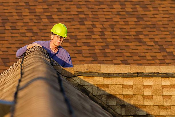 Best Roof Gutter Cleaning  in Conehatta, MS